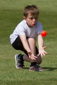 Kwik Cricket-8286