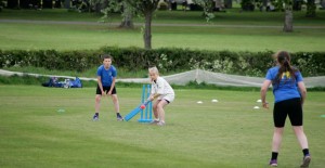 Kwik Cricket-9367